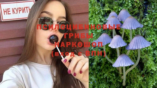 кокс Бородино