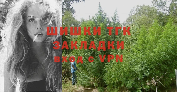 кокс Богородицк