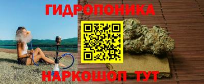 эйфоретик Нальчик