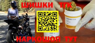 индика Моздок
