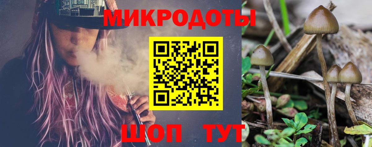Бутурлиновка  наркошоп  Вход с VPN  Галлюциногенные грибы Psilocybine cubensis  Псилоцибиновые грибы Psilocybine cubensis 